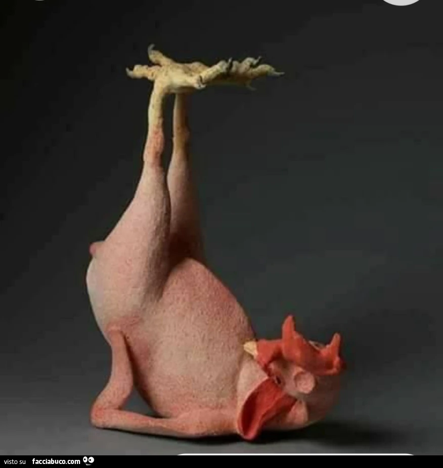 Vaccata
