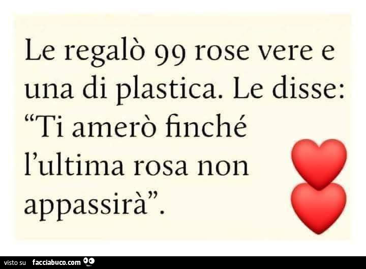 Le regalò 99 rose vere e una di plastica. Le disse: ti amerò finché l'ultima rosa non appassirà
