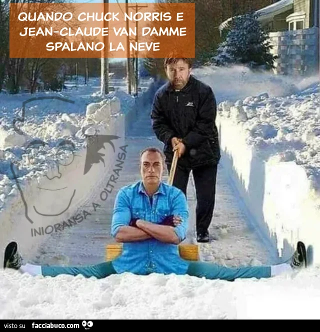 Spalare la neve