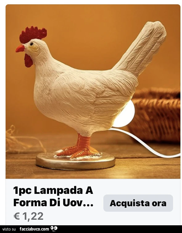 Vaccata