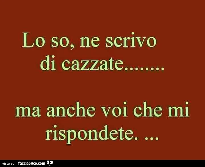 Lo so, ne scrivo di cazzate, ma anche voi che mi rispondete