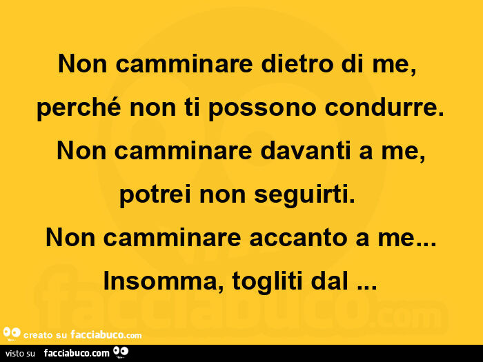 Non camminare dietro di me, perché non ti possono condurre.  Non camminare davanti a me, potrei non seguirti.    Non camminare accanto a me… insomma, togliti dal