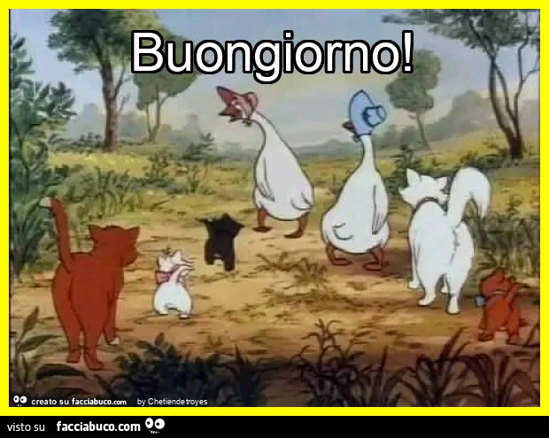 Buongiorno