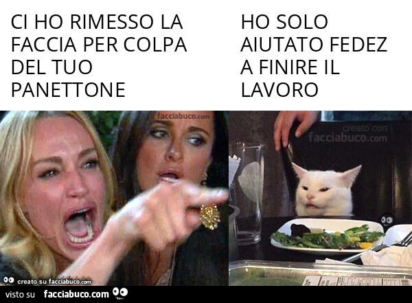 Ci ho rimesso la faccia per colpa del tuo panettone. Ho solo aiutato fedez a finire il lavoro
