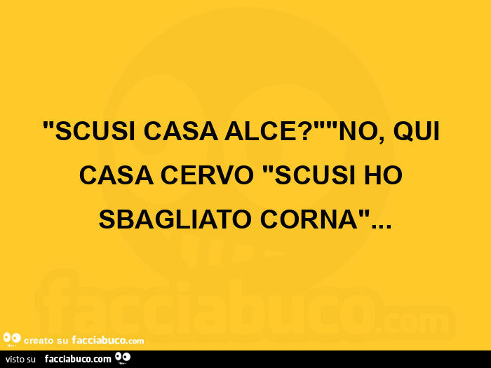 Scusi casa alce? No, qui casa cervo scusi ho sbagliato corna