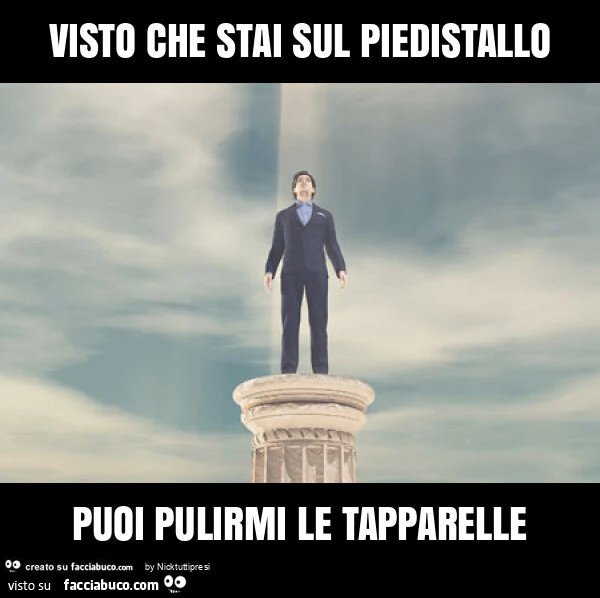 visto-che-stai-sul-piedistallo-puoi-pulirmi-le-tapparelle-facciabuco
