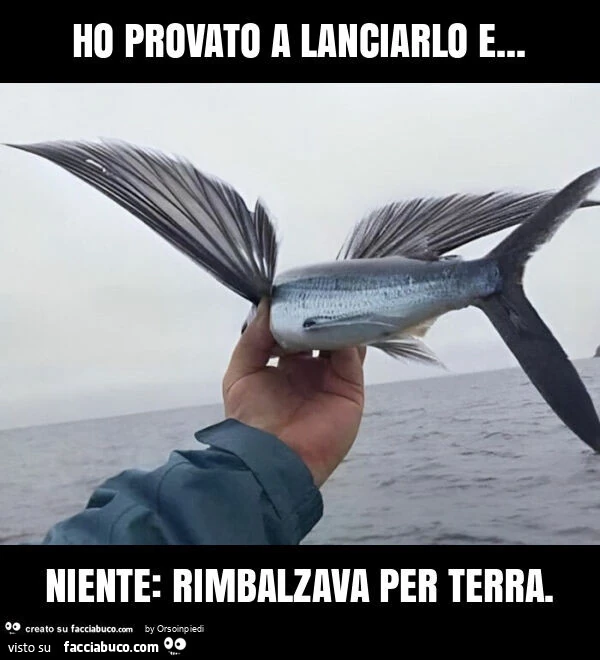 Ho provato a lanciarlo e&hellip; niente: rimbalzava per terra