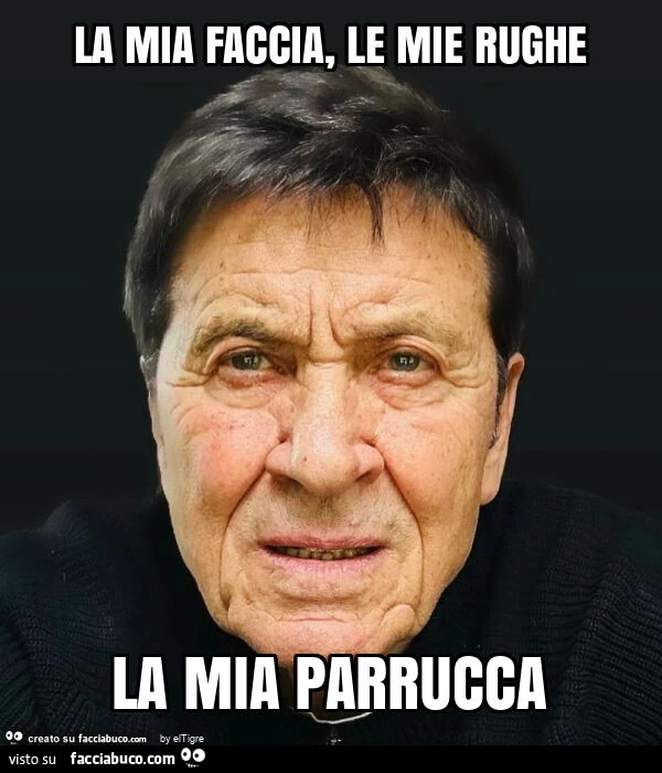 La mia faccia, le mie rughe la mia parrucca