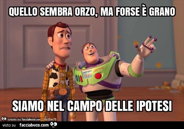 Quello sembra orzo, ma forse è grano siamo nel campo delle ipotesi