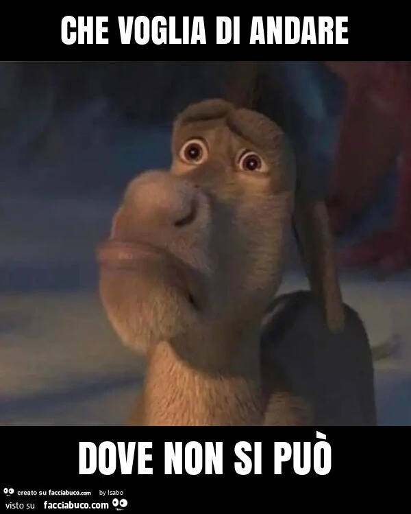 Che voglia di andare dove non si può