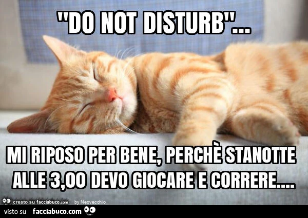 "do not disturb"&hellip; mi riposo per bene, perchè stanotte alle 3,00 devo giocare e correre