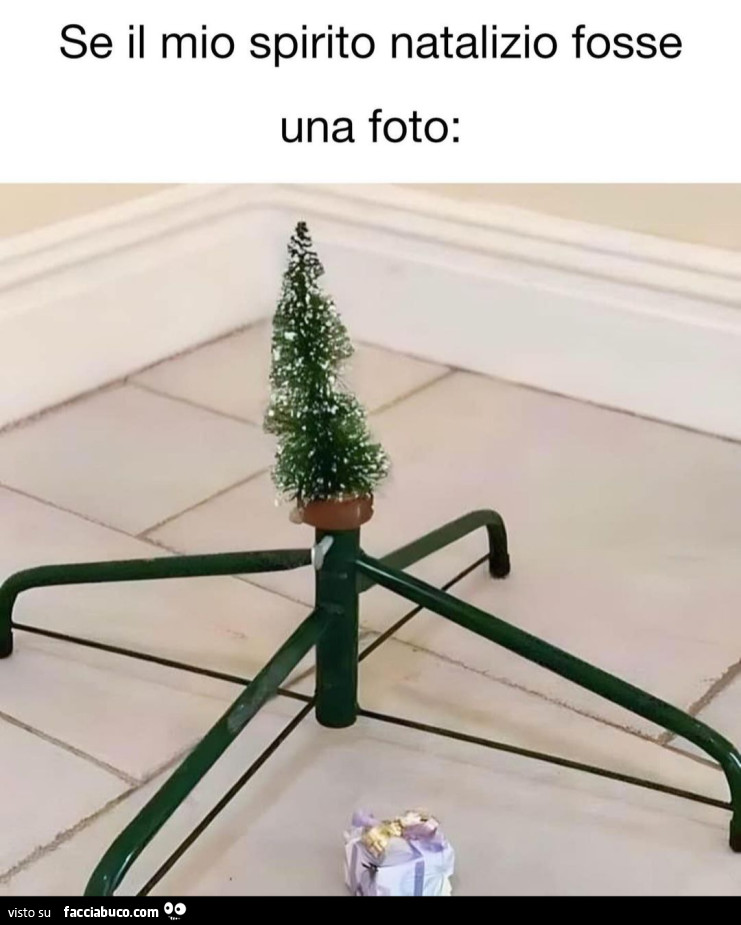 Se il mio spirito natalizio fosse una foto