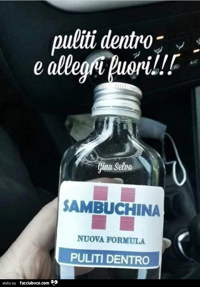 Sambuchina