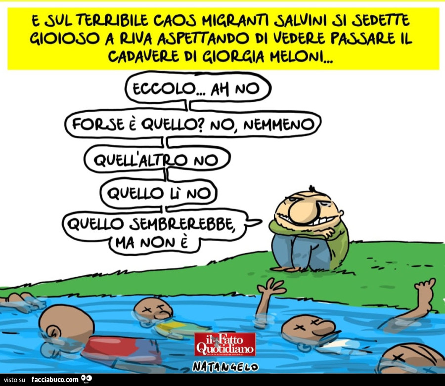 Vaccata