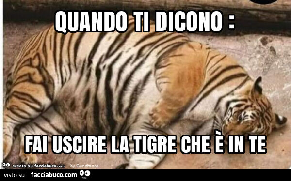 Quando ti dicono: fai uscire la tigre che è in te