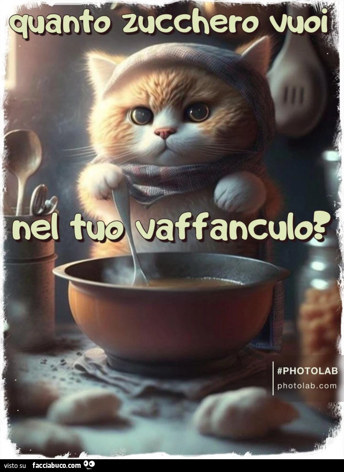 Zucchero