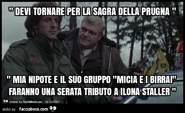 " devi tornare per la sagra della prugna " " mia nipote e il suo gruppo "micia e i birrai" faranno una serata tributo a ilona staller "