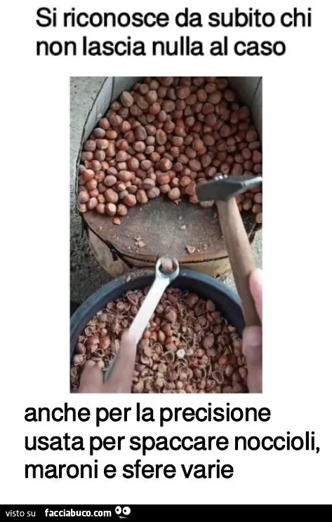 Vaccata