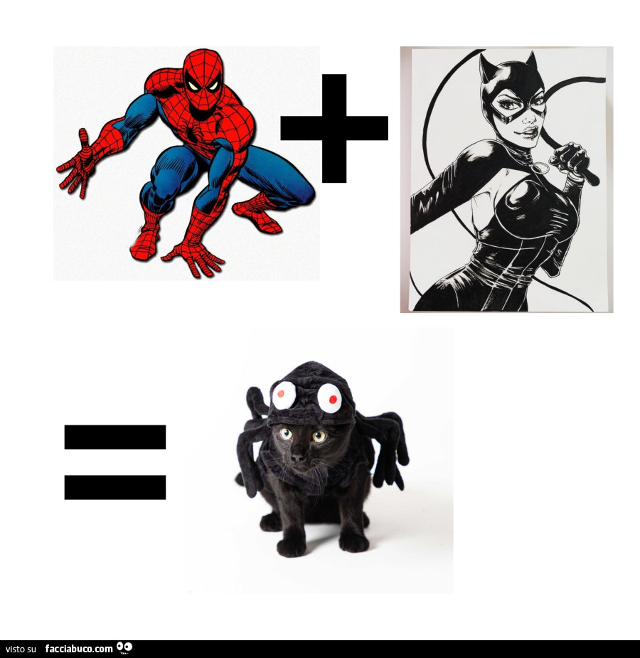 Spiderman più Cat Woman