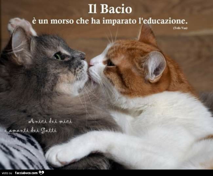 Saluti sera