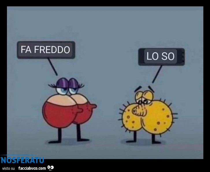 Fa freddo