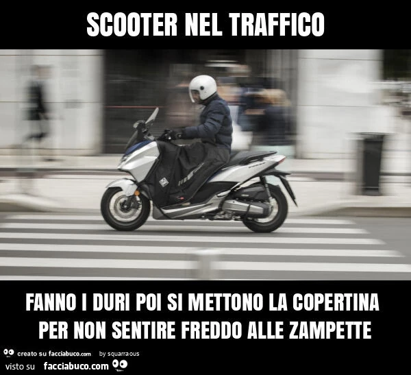 Scooter nel traffico fanno i duri poi si mettono la copertina per non sentire freddo alle zampette