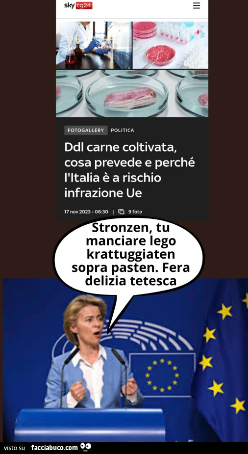 Carne sintetica e italia