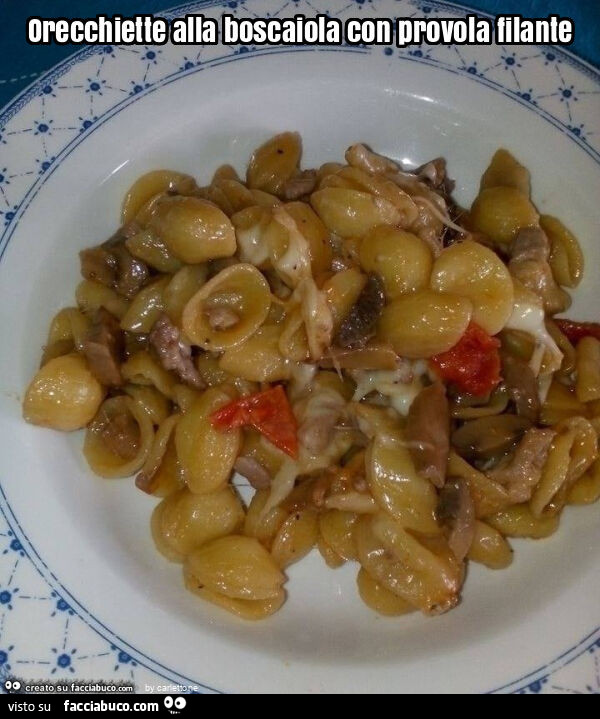 Orecchiette alla boscaiola con provola filante