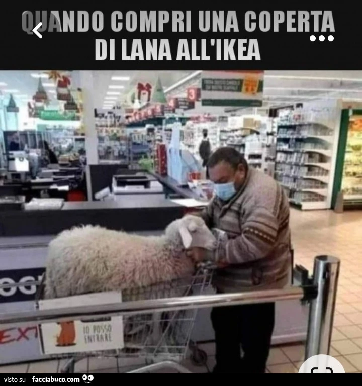 Vaccata