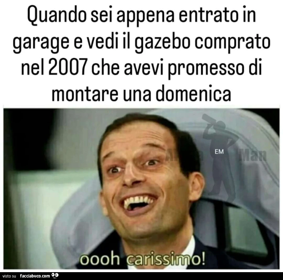 Vaccata
