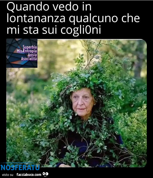 Quando vedo qualcuno ce mi sta sui coglioni