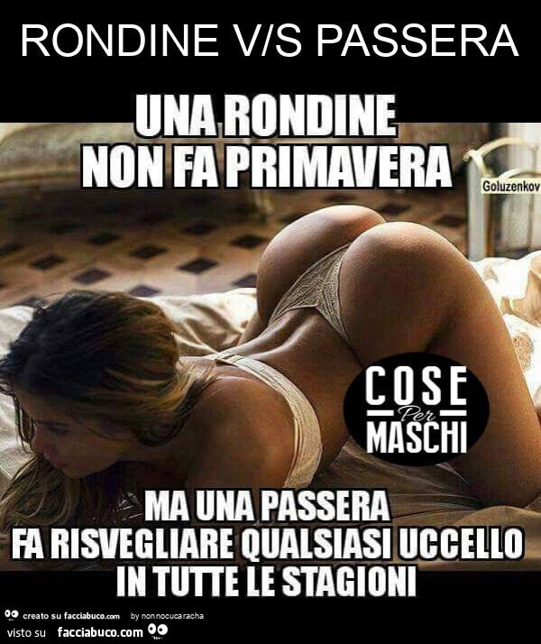 Rondine v/s passera