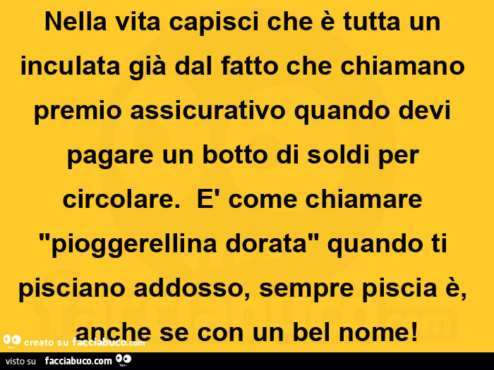 Nella vita capisci che è tutta un inculata già dal fatto che chiamano premio assicurativo quando devi pagare un botto di soldi per circolare. È Come chiamare "pioggerellina dorata" quando ti pisciano addosso