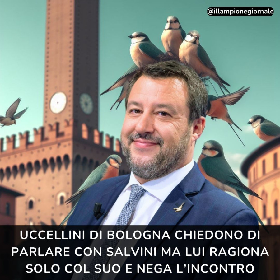 Uccellini di Bologna chiedono di parlare con Salvini ma lui ragiona solo col sue e nega l'incontro