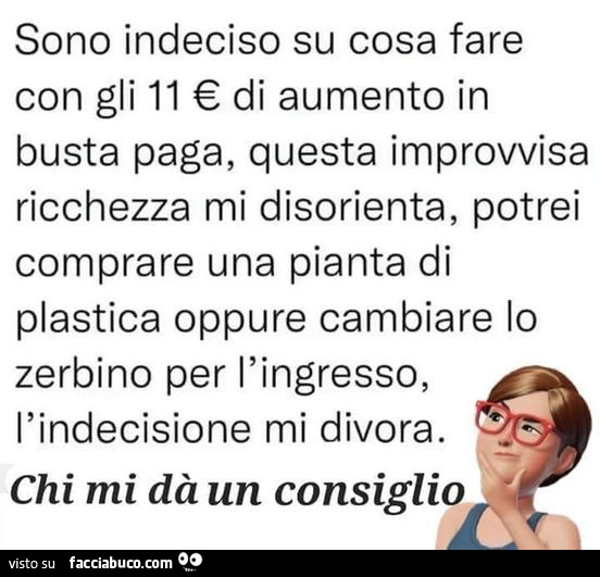 Sono indeciso su cosa fare con gli 11 € di aumento in busta paga, questa improvvisa ricchezza mi disorienta, potrei comprare una pianta di plastica oppure cambiare lo zerbino per l'ingresso, l'indecisione mi divora