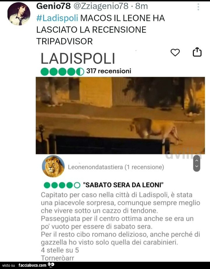 Vaccata