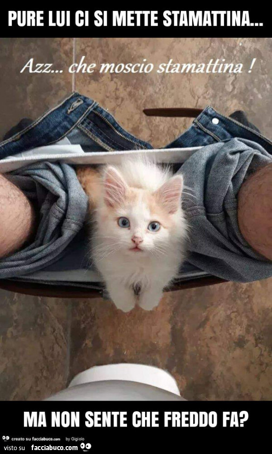 Pure lui ci si mette stamattina… ma non sente che freddo fa?