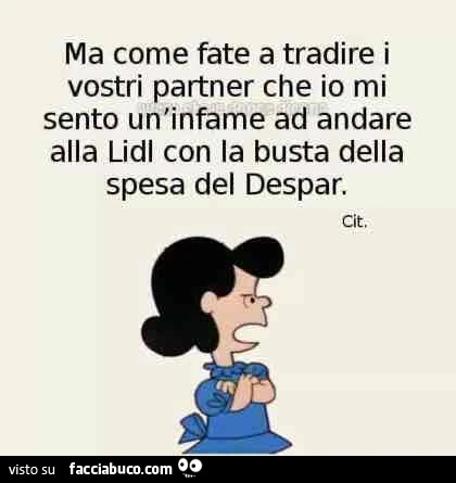 Ma come fate a tradire i vostri partner che io mi sento un'infame ad andare alla lidl con la busta della spesa del despar