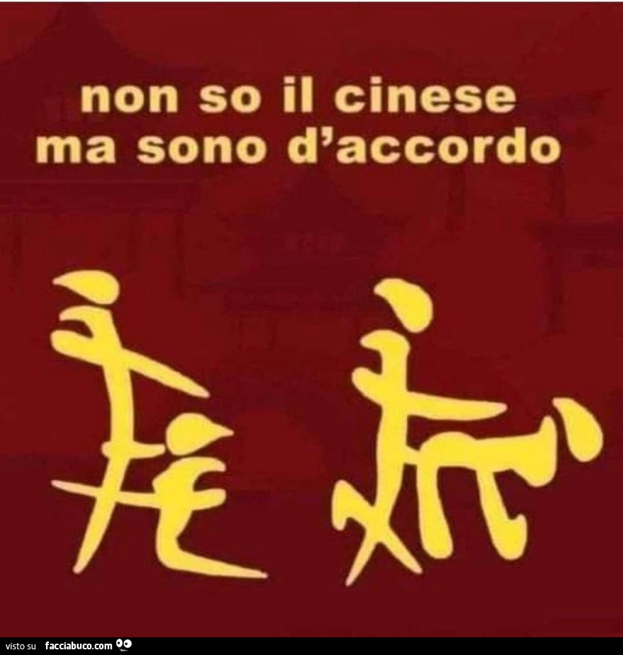 Non so il cinese ma sono d'accordo