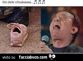 Vaccata