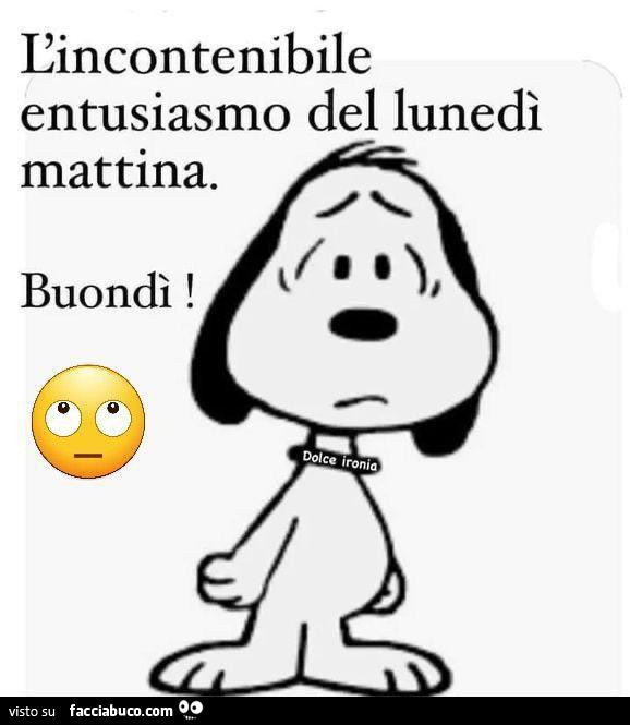 L'incontenibile entusiasmo del lunedì mattina. Buondì