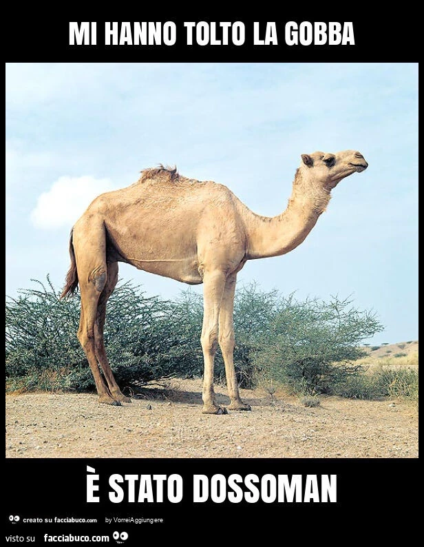 Mi hanno tolto la gobba è stato dossoman