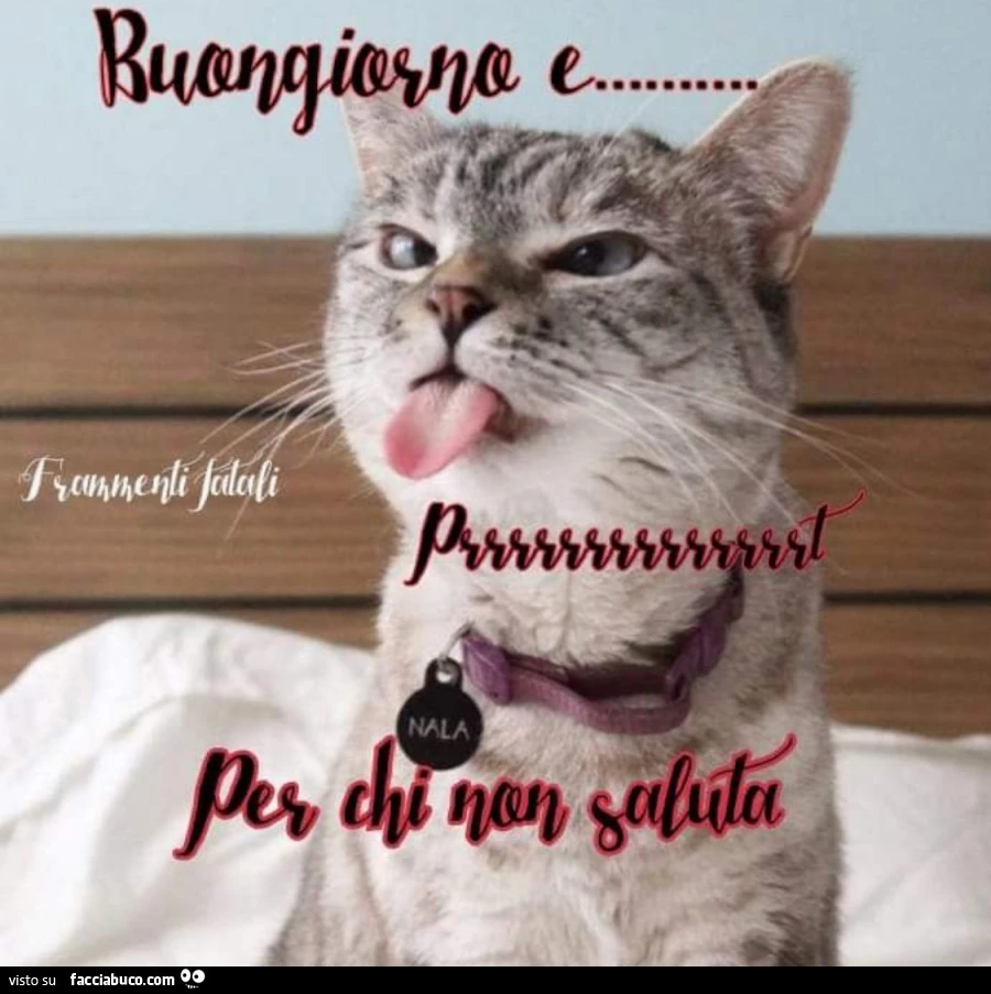 Saluti giorno