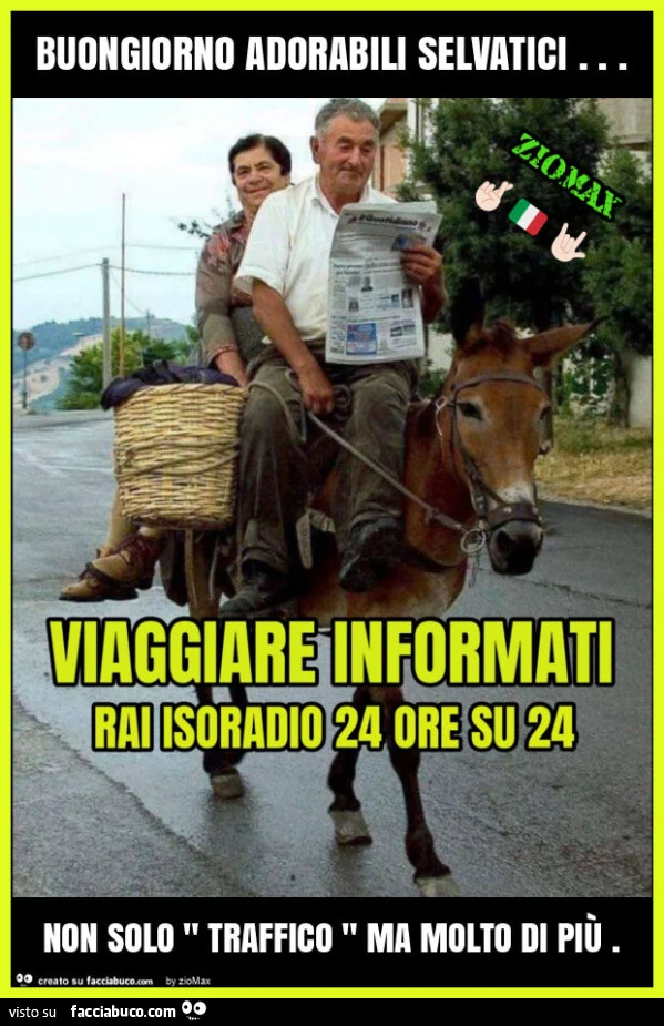 Buongiorno adorabili selvatici… non solo " traffico " ma molto di piรน