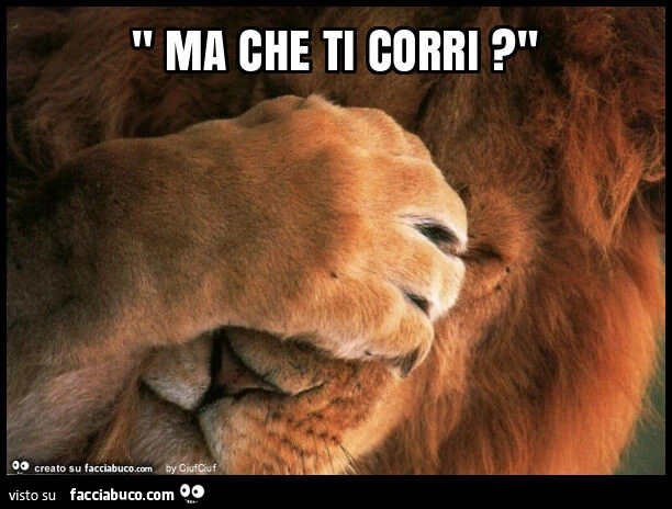 " ma che ti corri? "