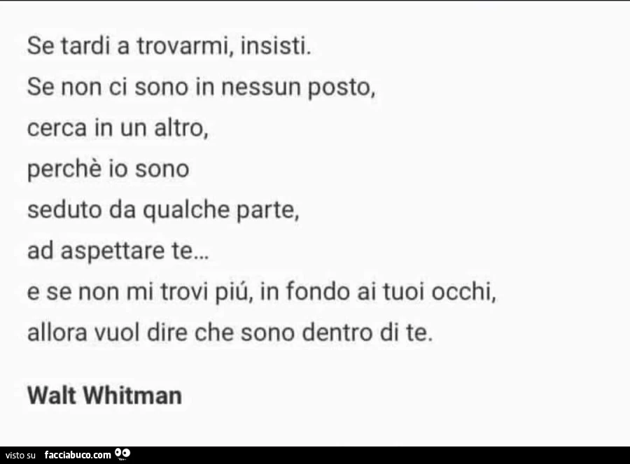 Se tardi a trovarmi, insisti. Se non ci sono in nessun posto, cerca in un altro, perchรจ io sono seduto da qualche parte, ad aspettare te… e se non mi trovi piรน, in fondo ai tuoi occhi, allora vuol dire che sono dentro di te. Walt Whitman