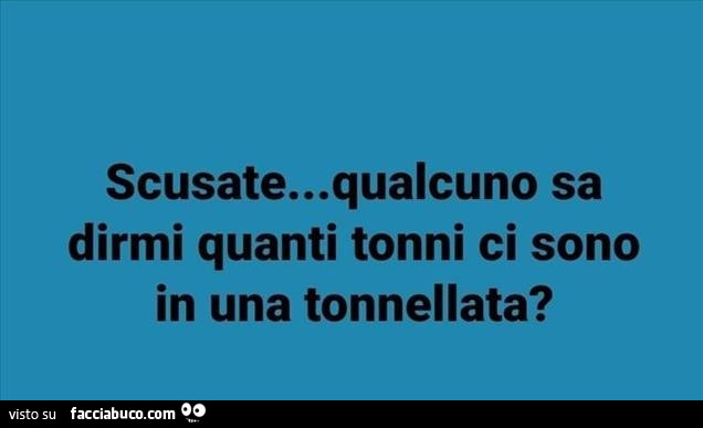 Scusate… qualcuno sa dirmi quanti tonni ci sono in una tonnellata?