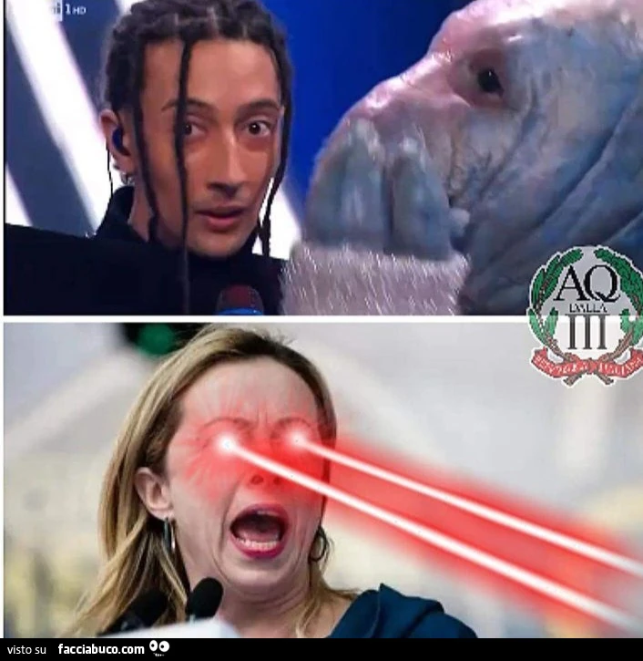 Vaccata