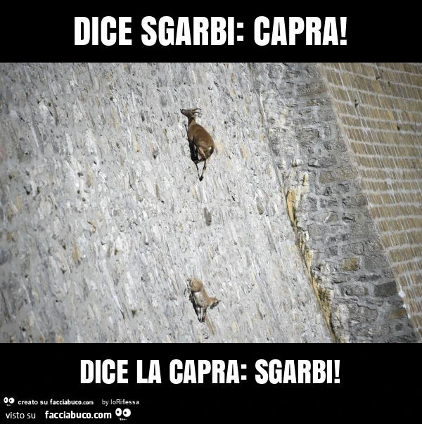 Dice sgarbi: capra! Dice la capra: sgarbi