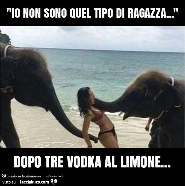 "io non sono quel tipo di ragazza… " dopo tre vodka al limone
